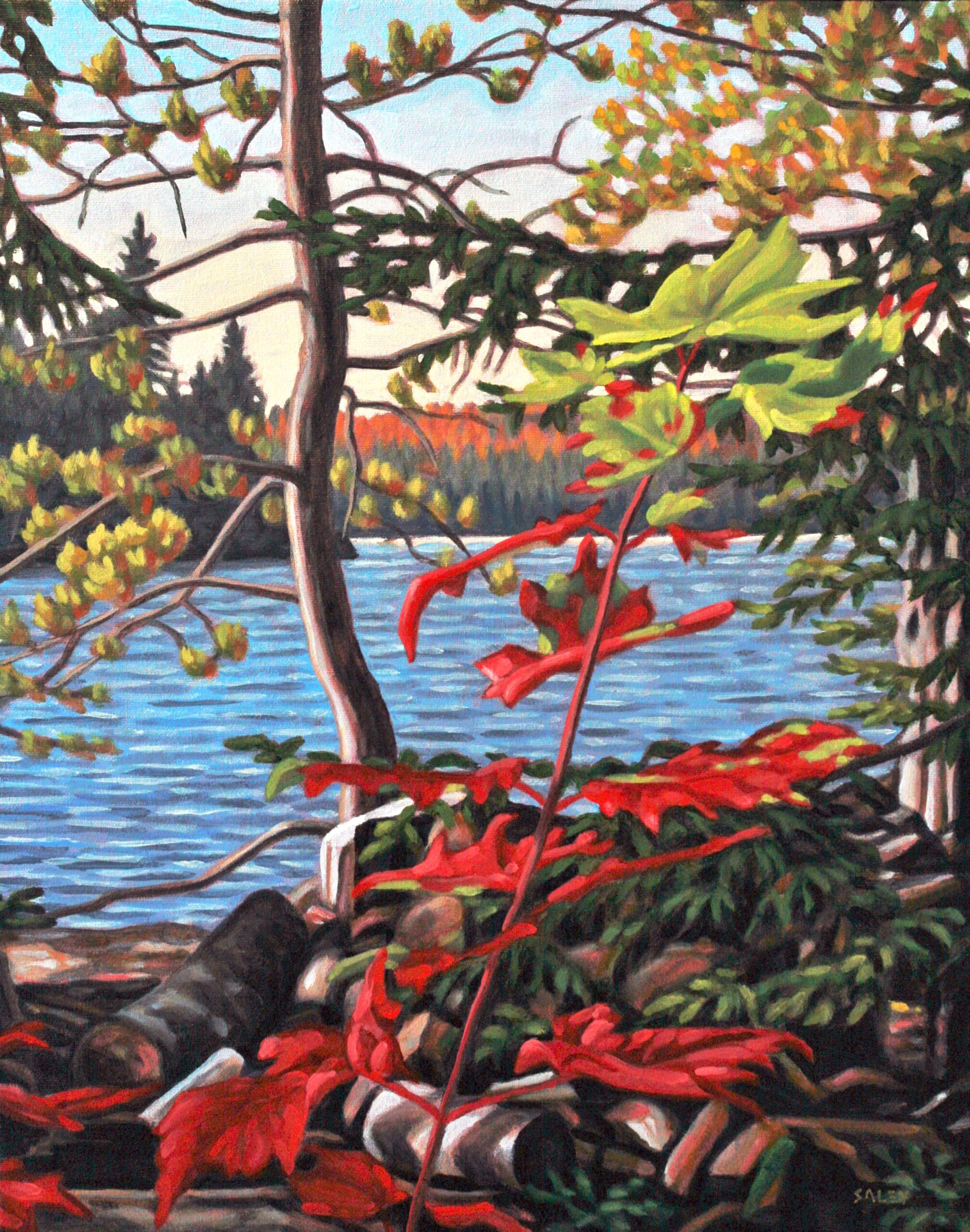 Red Green Maple, Canoe Lake