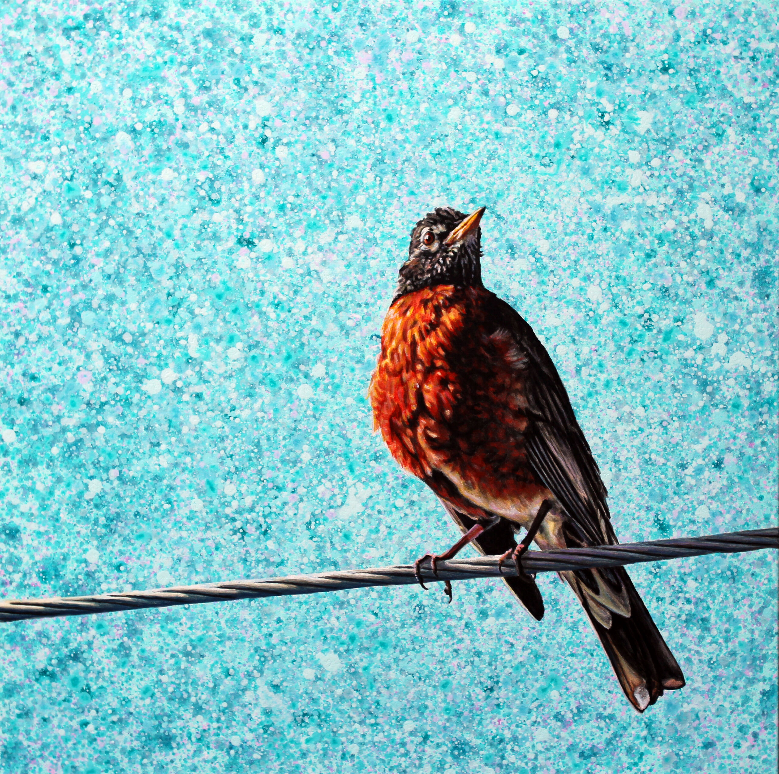 Robin On Wire
