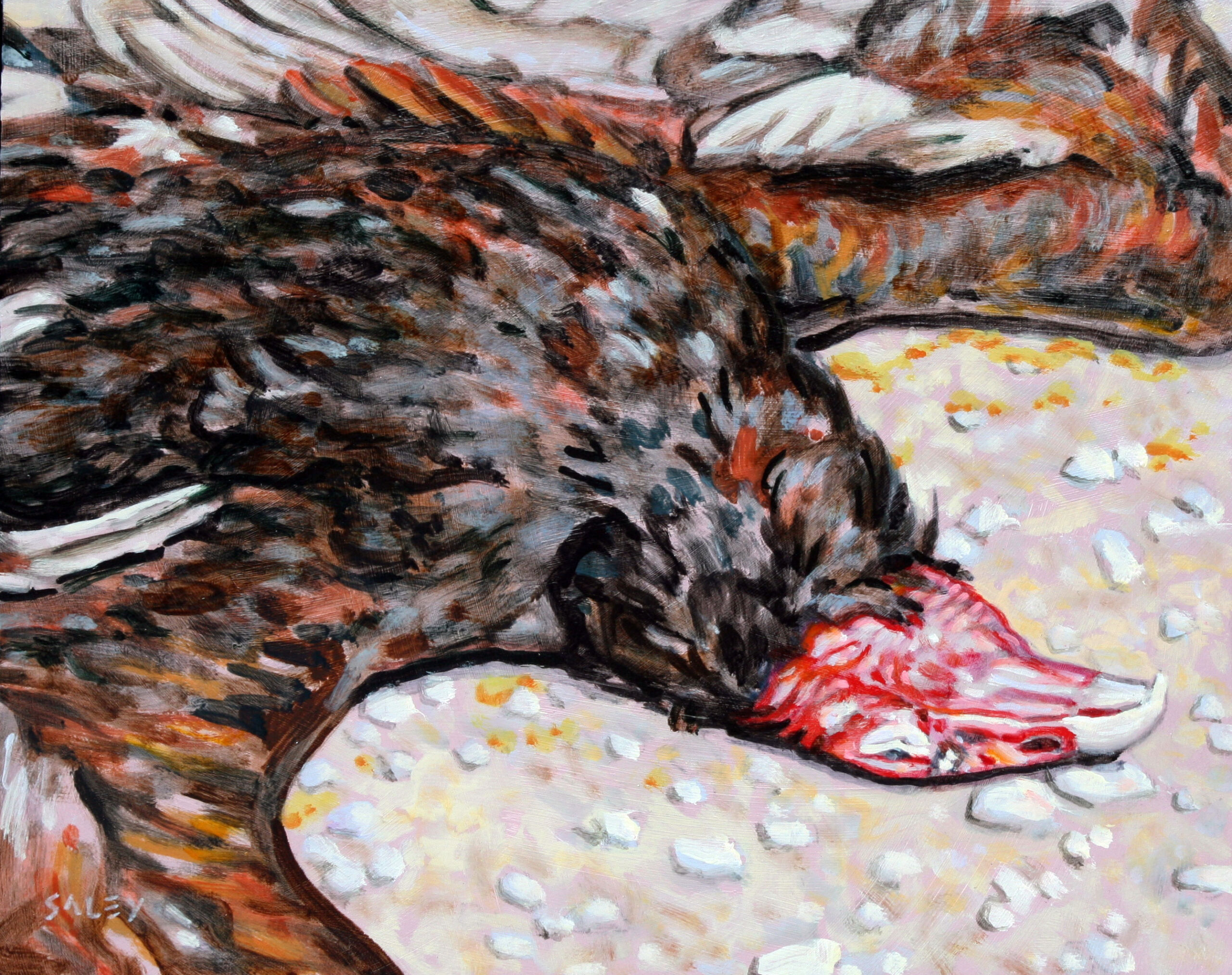 Ugly Dead Bird, Turkey Vulture